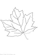 Leaf